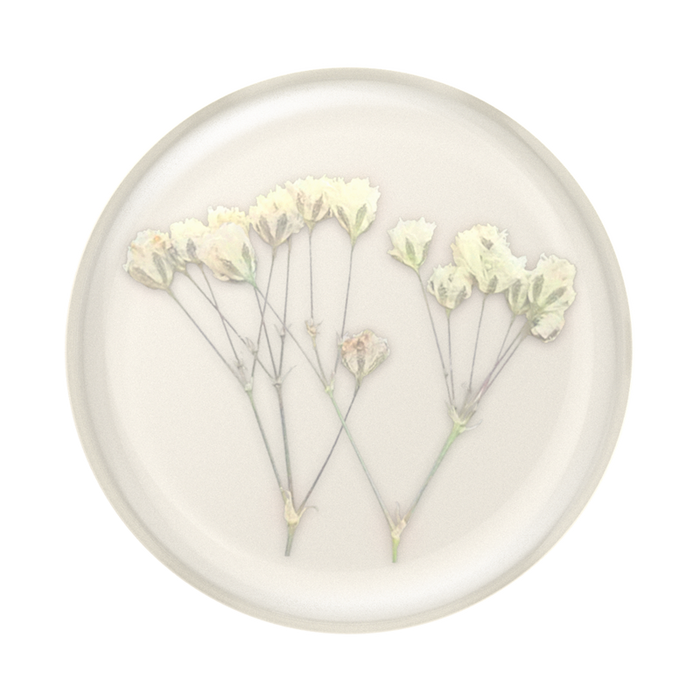 Babys Breath Pressed Flower PopGrip, PopSockets