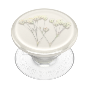 Babys Breath Pressed Flower PopGrip, PopSockets