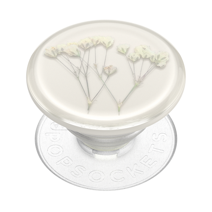 Babys Breath Pressed Flower PopGrip, PopSockets