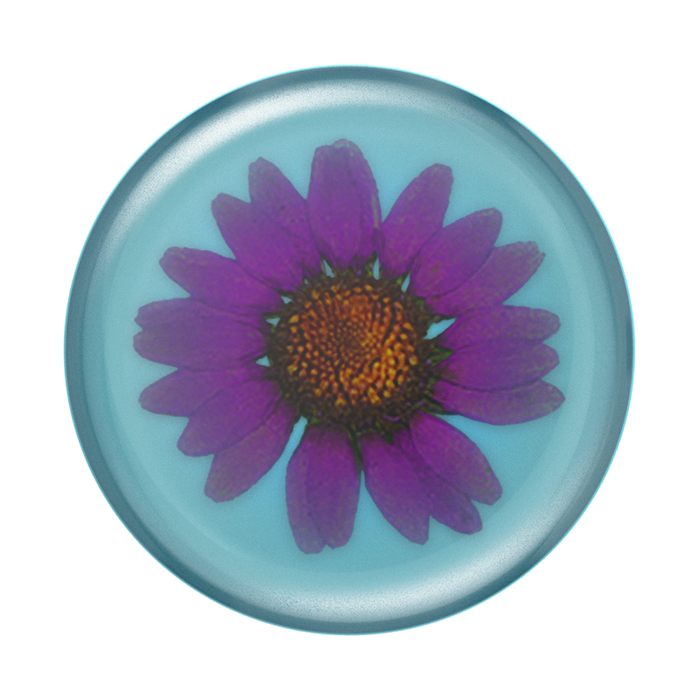 Purple Daisy Pressed Flower PopGrip, PopSockets